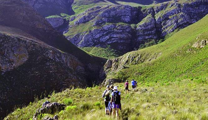 Manfaat Hiking untuk Kesehatan Fisik dan Mental