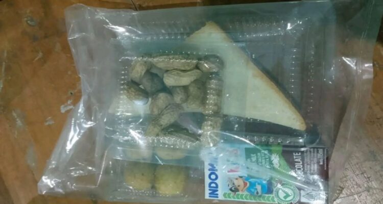 Menu Program Makan Gratis Viral